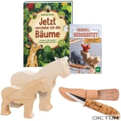 Jeu à Sculpter Pour Enfants DICTUM, 5 Pièces