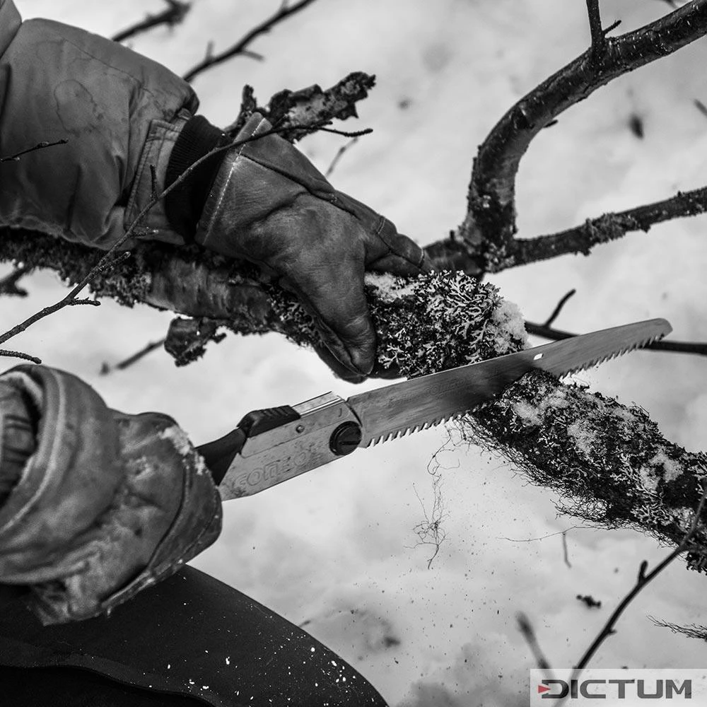 Scie Pliante Silky Gomboy 210-10, De Plein Air 6 Scie Pliante Silky Gomboy 210-10, De Plein Air – Image 4