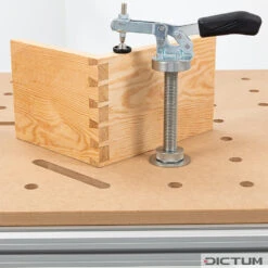 Poteau De Montage DICTUM SSP Pour Serre-joint Rapide -Outils Série Boutique 728990 03 A WE 8 DICTUM Montagepfosten SSP f r Schnellspanner WZ jpg c1