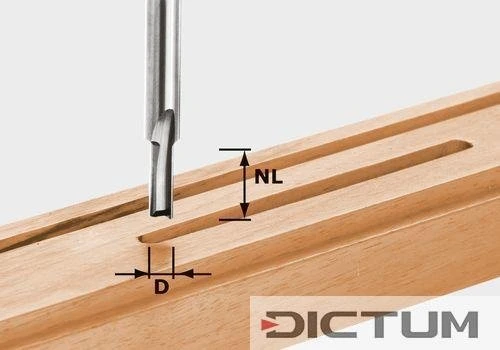 Festool Fraise à Rainurer HW S8 D3/6